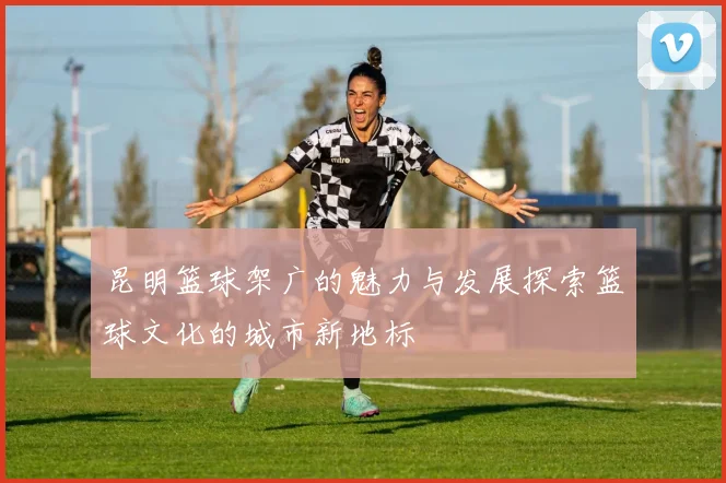 昆明篮球架广的魅力与发展探索篮球文化的城市新地标