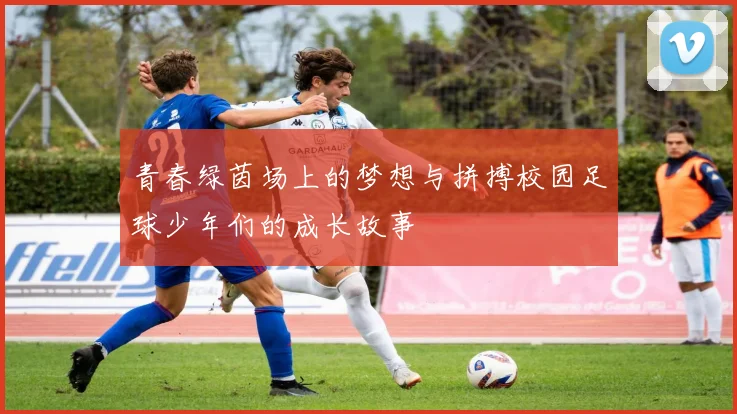 青春绿茵场上的梦想与拼搏校园足球少年们的成长故事