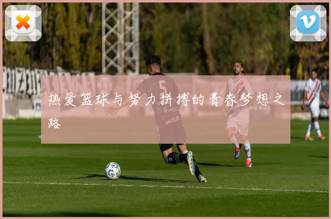 热爱篮球与努力拼搏的青春梦想之路