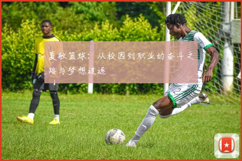 夏敏篮球：从校园到职业的奋斗之路与梦想追逐