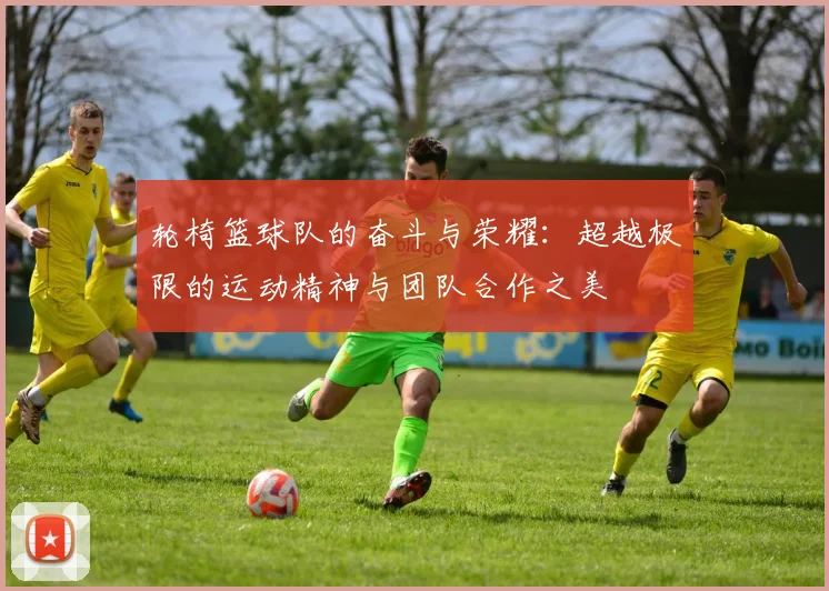 轮椅篮球队的奋斗与荣耀：超越极限的运动精神与团队合作之美