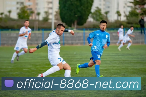 数据防护可视化